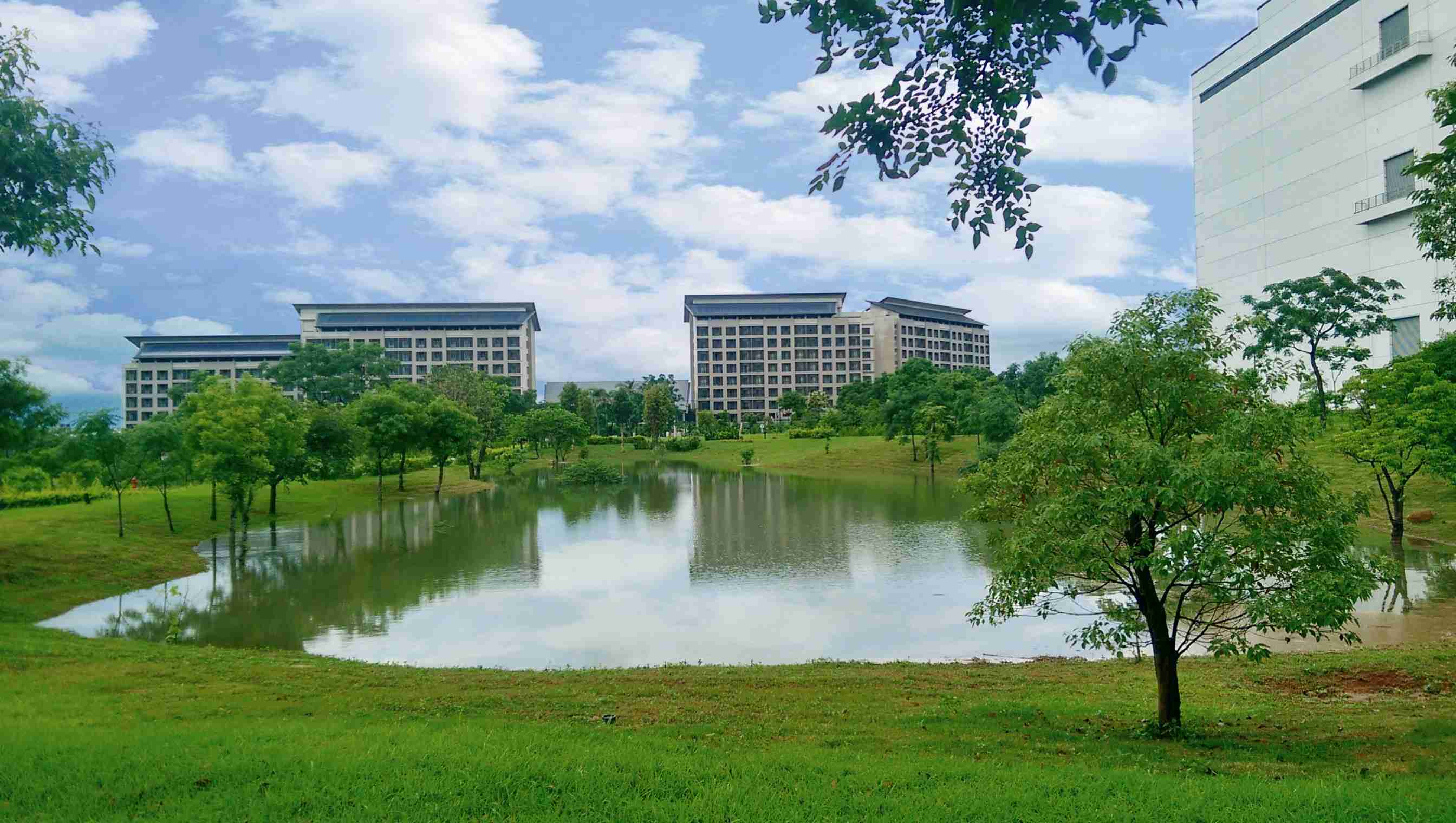 开云电子响应国际倡议生物多样性趋势，，，，首次发布TNFD自然相关财务揭露报告书，，擘划及开展开云电子生物多样性政策之承诺，，，逐步迈向与自然和谐共生